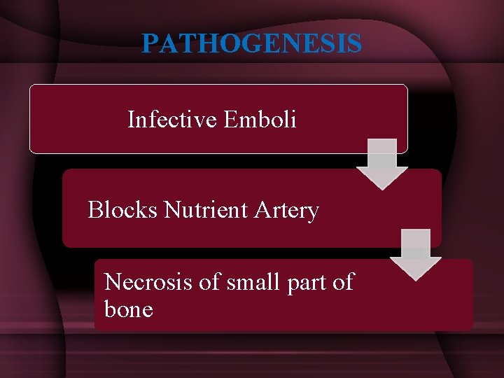 PATHOGENESIS Infective Emboli Blocks Nutrient Artery Necrosis of small part of bone 