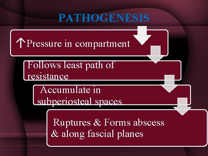 PATHOGENESIS ↑Pressure in compartment Follows least path of resistance Accumulate in subperiosteal spaces Ruptures