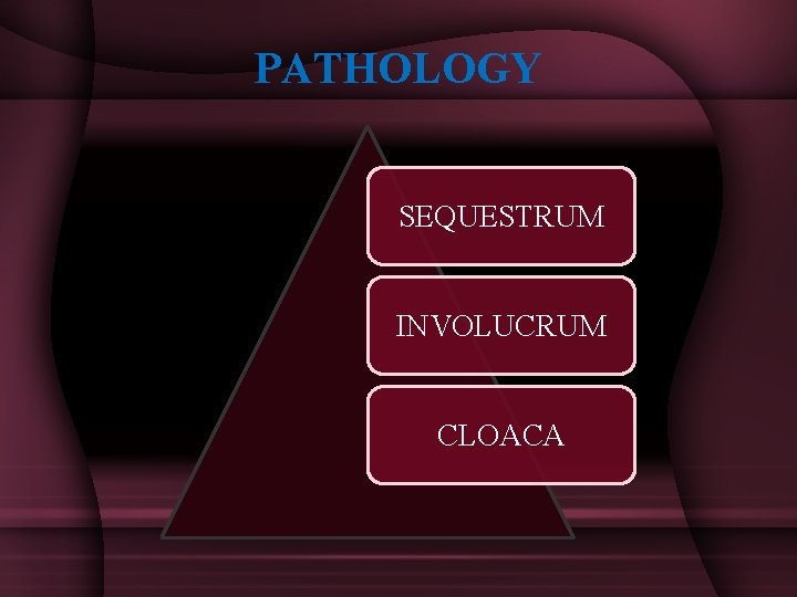 PATHOLOGY SEQUESTRUM INVOLUCRUM CLOACA 
