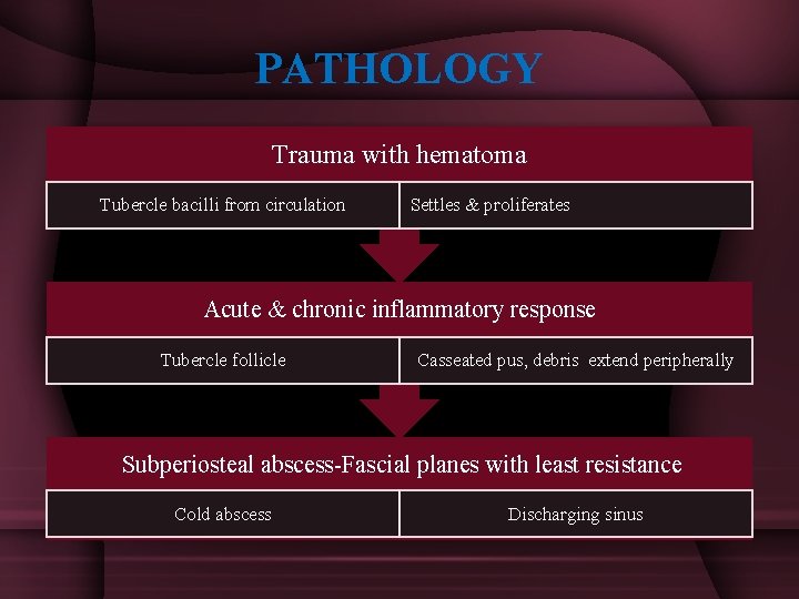 PATHOLOGY Trauma with hematoma Tubercle bacilli from circulation Settles & proliferates Acute & chronic