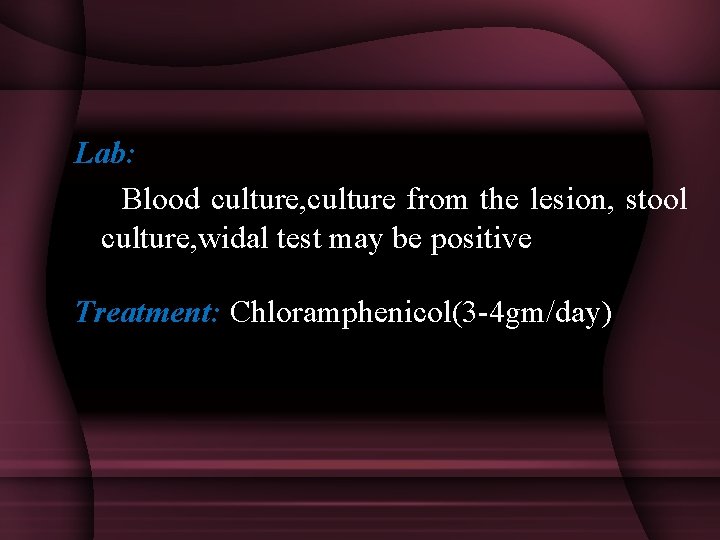 Lab: Blood culture, culture from the lesion, stool culture, widal test may be positive