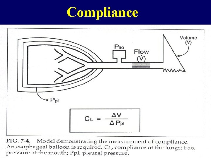 Compliance 