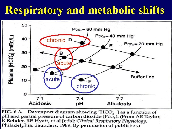 Respiratory and metabolic shifts chronic acute chronic 