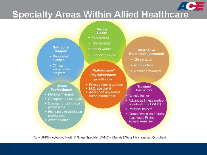 Specialty Areas Within Allied Healthcare Specialty Areas Within Allied Healthcare