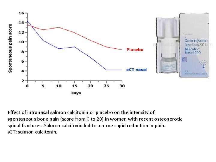 Effect of intranasal salmon calcitonin or placebo on the intensity of spontaneous bone pain