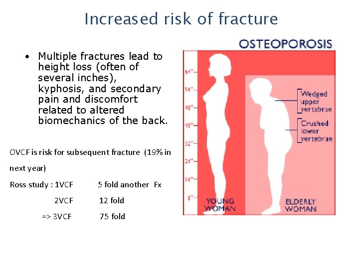 Increased risk of fracture • Multiple fractures lead to height loss (often of several