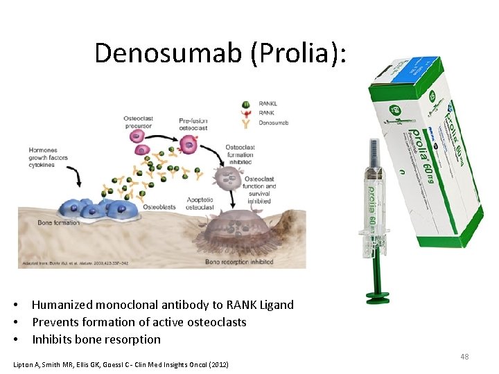 Denosumab (Prolia): • • • Humanized monoclonal antibody to RANK Ligand Prevents formation of