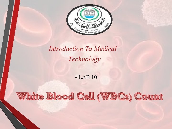 Introduction To Medical Technology - LAB 10 White Blood Cell (WBCs) Count 