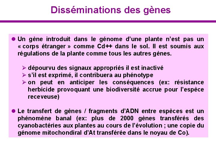 Disséminations des gènes l Un gène introduit dans le génome d’une plante n’est pas