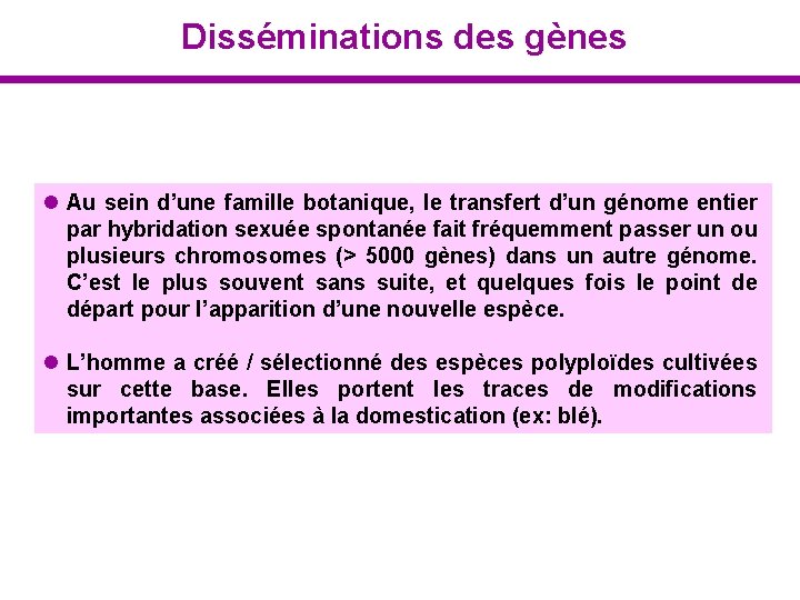 Disséminations des gènes l Au sein d’une famille botanique, le transfert d’un génome entier