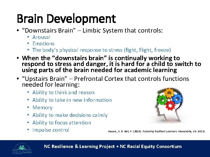 Brain Development • “Downstairs Brain” – Limbic System that controls: • Arousal • Emotions