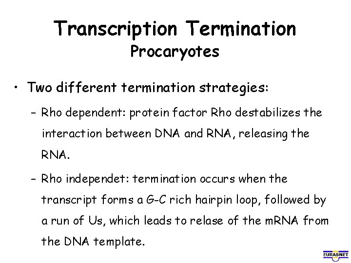 Transcription Termination Procaryotes • Two different termination strategies: – Rho dependent: protein factor Rho