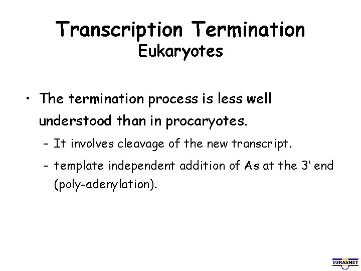 Transcription Termination Eukaryotes • The termination process is less well understood than in procaryotes.
