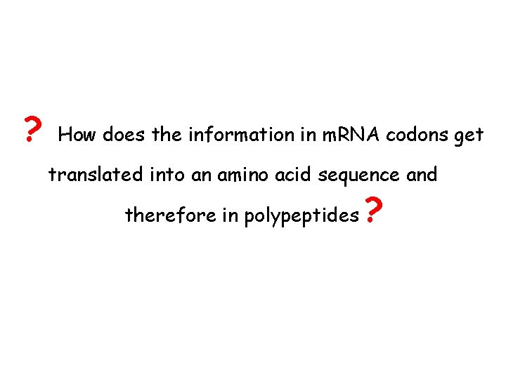 ? How does the information in m. RNA codons get translated into an amino