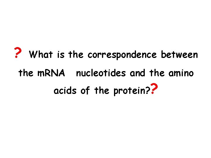 ? What is the correspondence between the m. RNA Vnucleotides and the amino acids