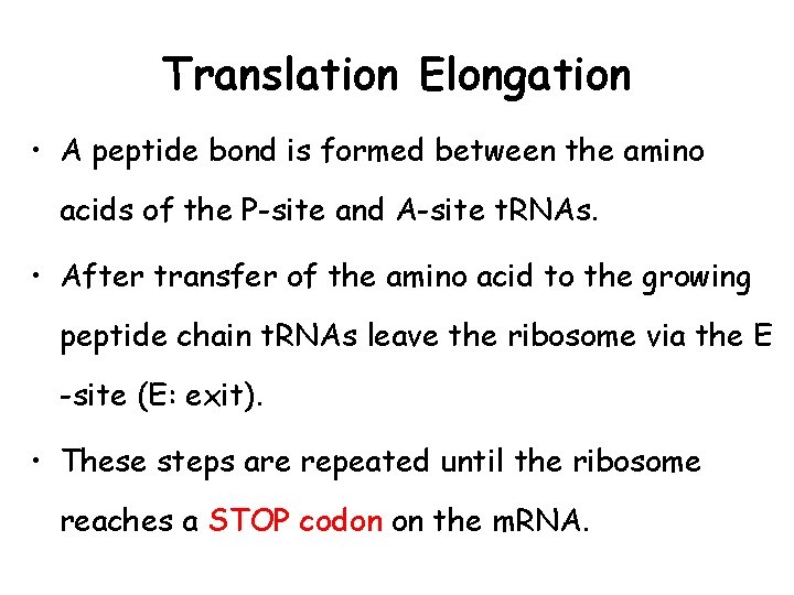 Translation Elongation • A peptide bond is formed between the amino acids of the