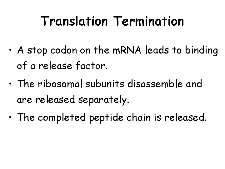 Translation Termination • A stop codon on the m. RNA leads to binding of