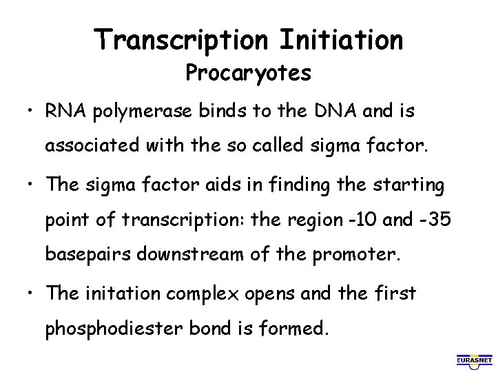 Transcription Initiation Procaryotes • RNA polymerase binds to the DNA and is associated with