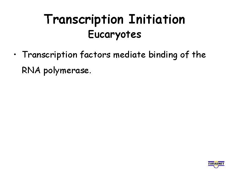Transcription Initiation Eucaryotes • Transcription factors mediate binding of the RNA polymerase. 