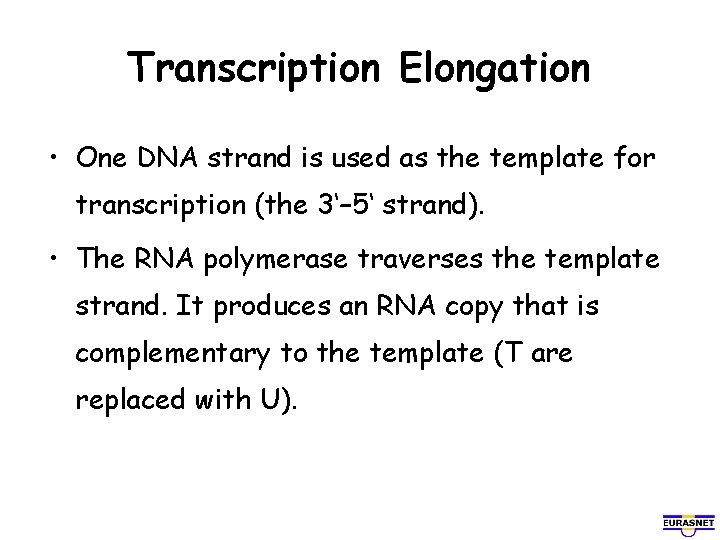 Transcription Elongation • One DNA strand is used as the template for transcription (the