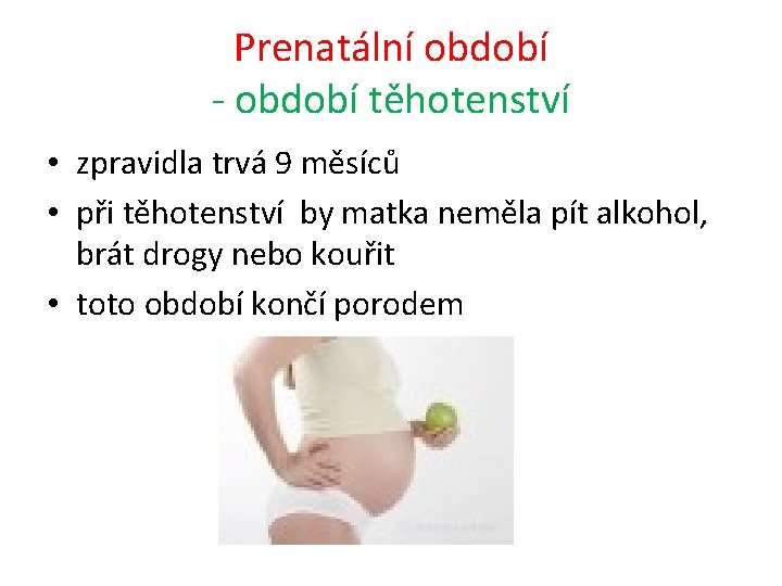 Prenatální období - období těhotenství • zpravidla trvá 9 měsíců • při těhotenství by