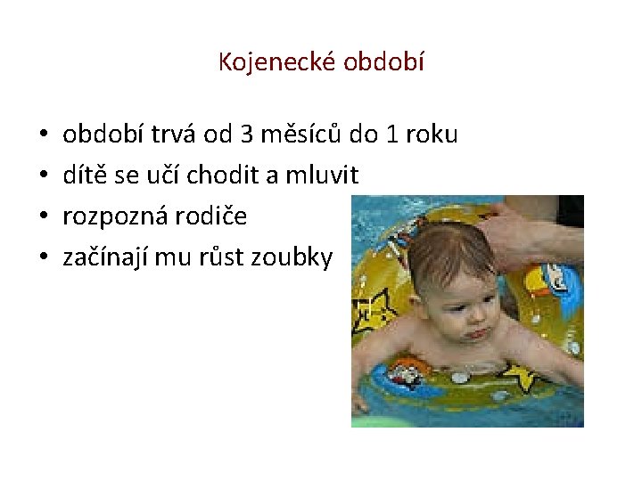 Kojenecké období • • období trvá od 3 měsíců do 1 roku dítě se