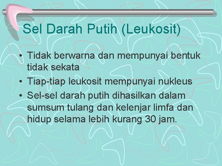 Sel Darah Putih (Leukosit) • Tidak berwarna dan mempunyai bentuk tidak sekata • Tiap-tiap Sel Darah Putih (Leukosit) • Tidak berwarna dan mempunyai bentuk tidak sekata • Tiap-tiap