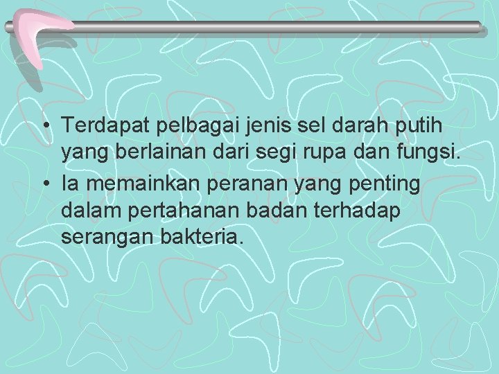 • Terdapat pelbagai jenis sel darah putih yang berlainan dari segi rupa dan • Terdapat pelbagai jenis sel darah putih yang berlainan dari segi rupa dan