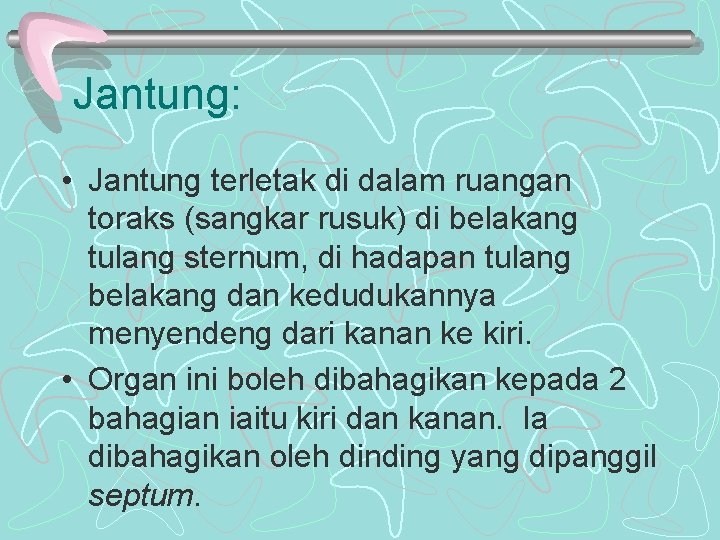 Jantung: • Jantung terletak di dalam ruangan toraks (sangkar rusuk) di belakang tulang sternum, Jantung: • Jantung terletak di dalam ruangan toraks (sangkar rusuk) di belakang tulang sternum,