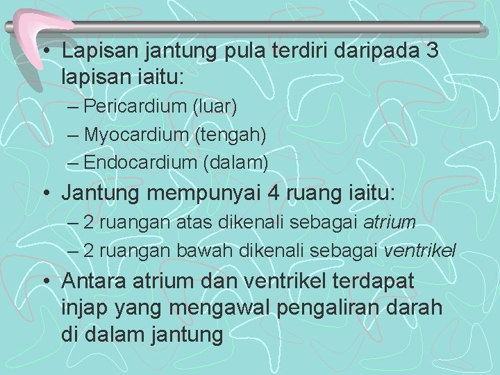 • Lapisan jantung pula terdiri daripada 3 lapisan iaitu: – Pericardium (luar) – • Lapisan jantung pula terdiri daripada 3 lapisan iaitu: – Pericardium (luar) –