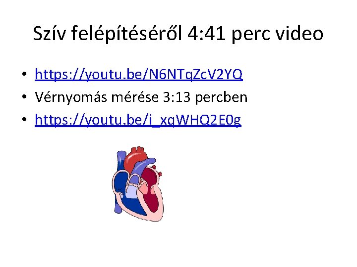 Szív felépítéséről 4: 41 perc video • https: //youtu. be/N 6 NTq. Zc. V