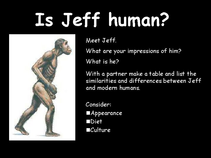 Is Jeff human? Meet Jeff. What are your impressions of him? What is he?