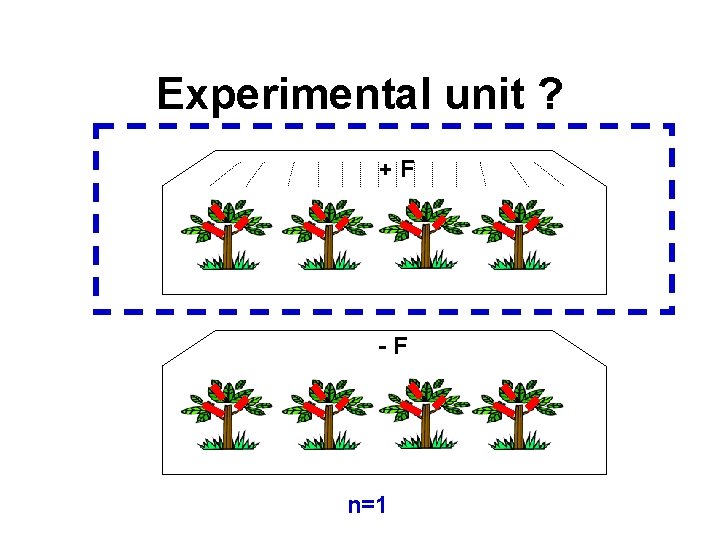 Experimental unit ? +F -F n=1 