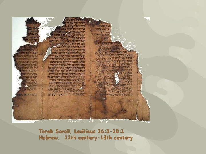 Torah Scroll, Leviticus 16: 3 -18: 1 Hebrew. 11 th century-13 th century 