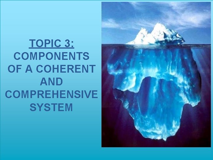 TOPIC 3: COMPONENTS OF A COHERENT AND COMPREHENSIVE SYSTEM 