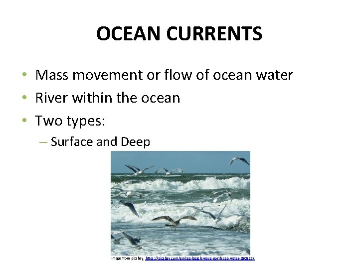 OCEAN CURRENTS • Mass movement or flow of ocean water • River within the