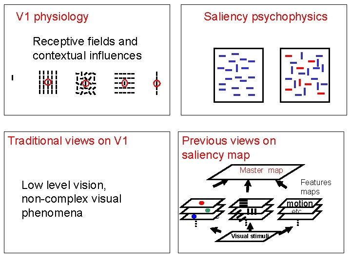 V 1 physiology Saliency psychophysics Receptive fields and contextual influences Traditional views on V