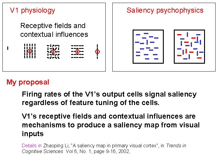 V 1 physiology Saliency psychophysics Receptive fields and contextual influences My proposal Firing rates