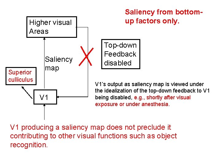 Higher visual Areas Superior culliculus Saliency map V 1 Saliency from bottomup factors only.
