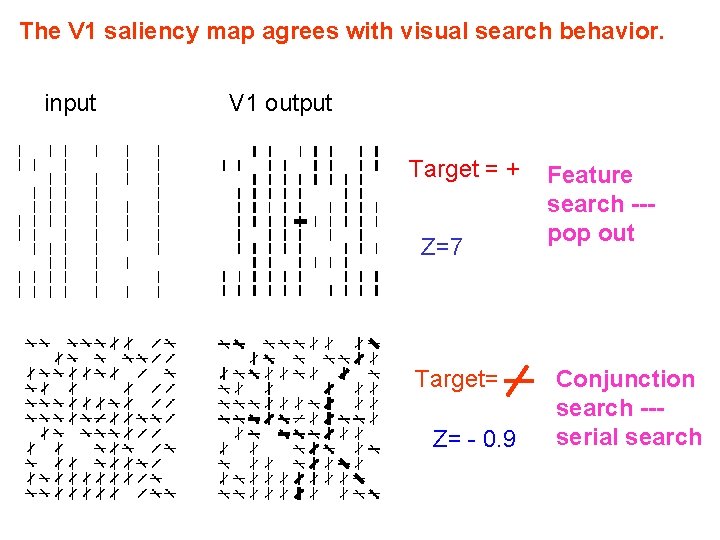 The V 1 saliency map agrees with visual search behavior. input V 1 output