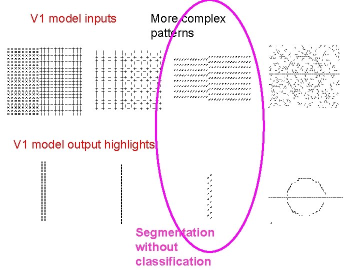 V 1 model inputs More complex patterns V 1 model output highlights Segmentation without