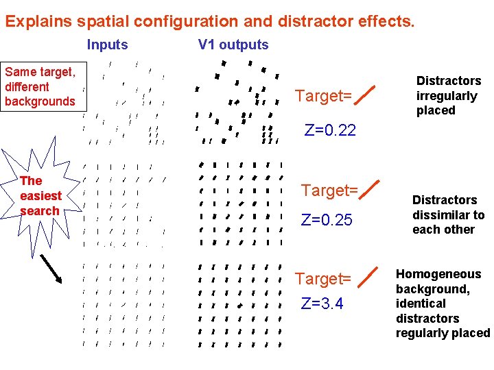 Explains spatial configuration and distractor effects. Inputs Same target, different backgrounds V 1 outputs