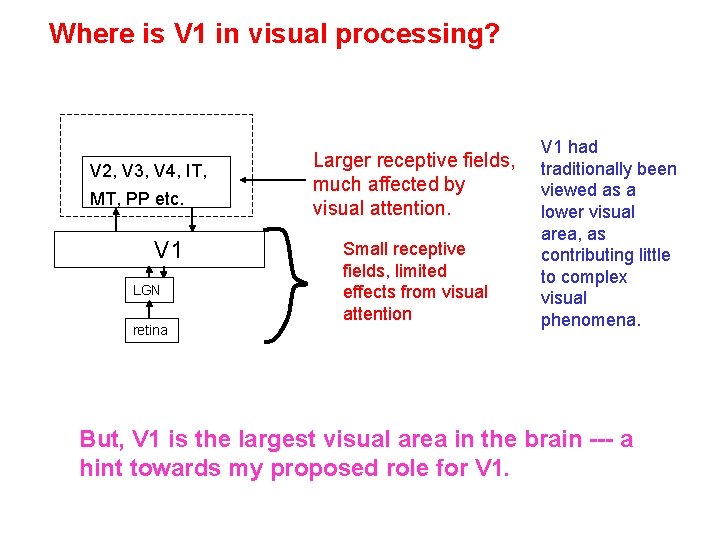Where is V 1 in visual processing? V 2, V 3, V 4, IT,
