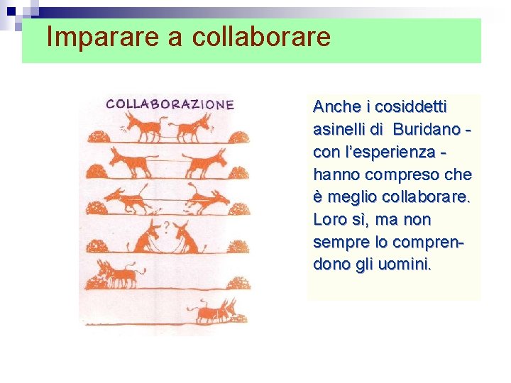 Imparare a collaborare Anche i cosiddetti asinelli di Buridano con l’esperienza hanno compreso che