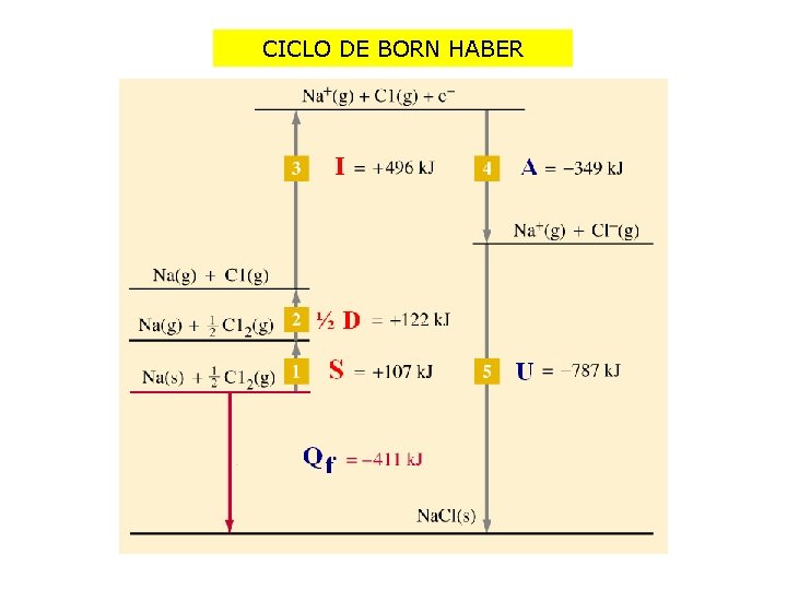 CICLO DE BORN HABER 