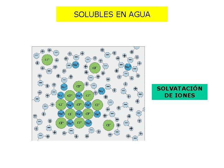 SOLUBLES EN AGUA SOLVATACIÓN DE IONES 