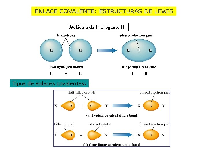 ENLACE COVALENTE: ESTRUCTURAS DE LEWIS Molécula de Hidrógeno: H 2 Tipos de enlaces covalentes: