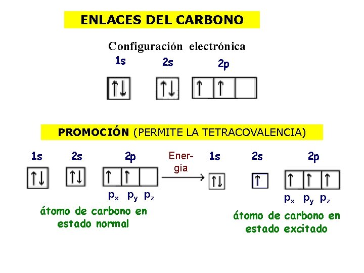 ENLACES DEL CARBONO Configuración electrónica 1 s 2 s 2 p PROMOCIÓN (PERMITE LA