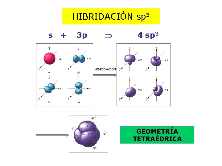 HIBRIDACIÓN sp 3 s + 3 p 4 sp 3 HIBRIDACIÓN GEOMETRÍA TETRAÉDRICA 