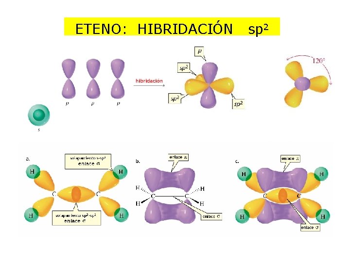 ETENO: HIBRIDACIÓN sp 2 